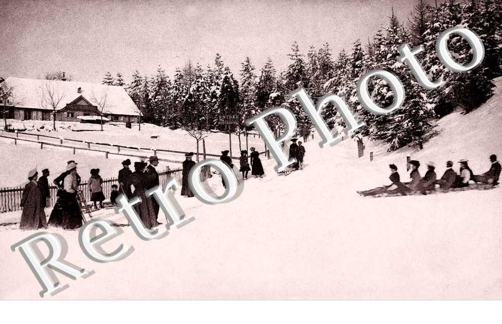 paysage d'hiver