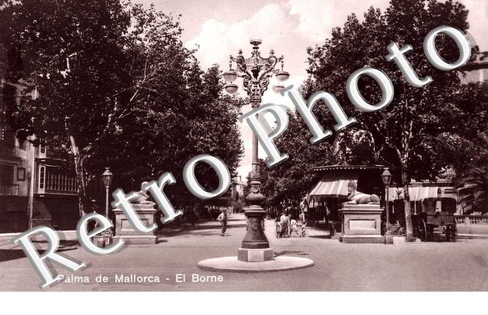 el borne