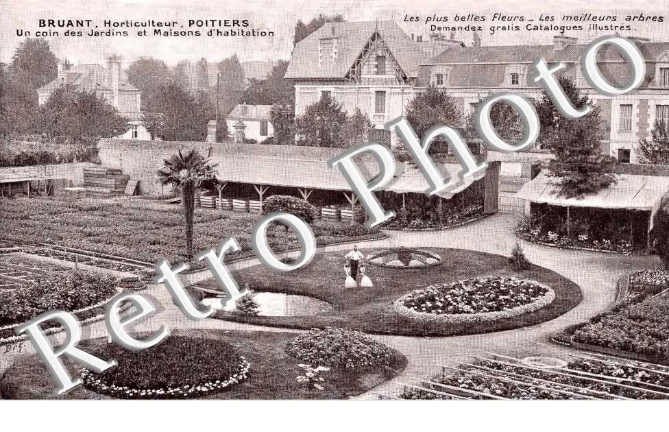 BRUANT HORTICULTEUR