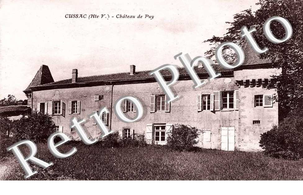 Château de Puy