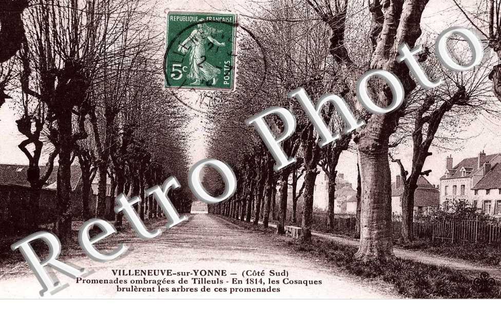 Promenades ombragees de Tilleuls