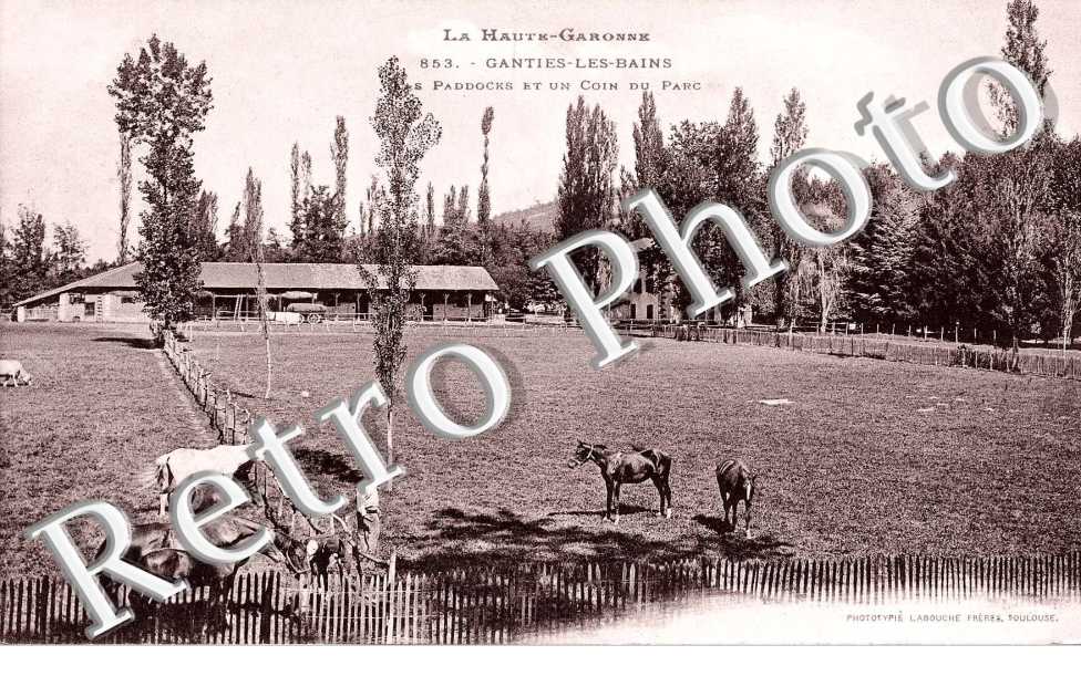 Les Paddocks et un coin du Parc