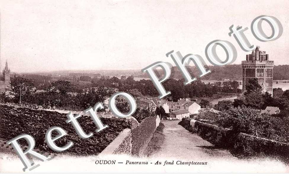 panorama - au fond Champtoceaux