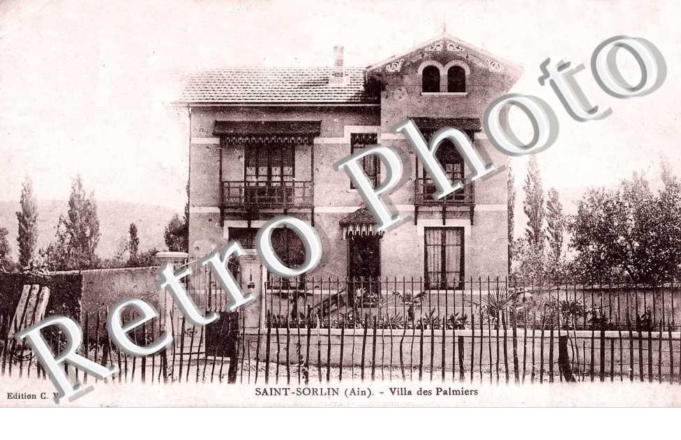 Villa des palmiers