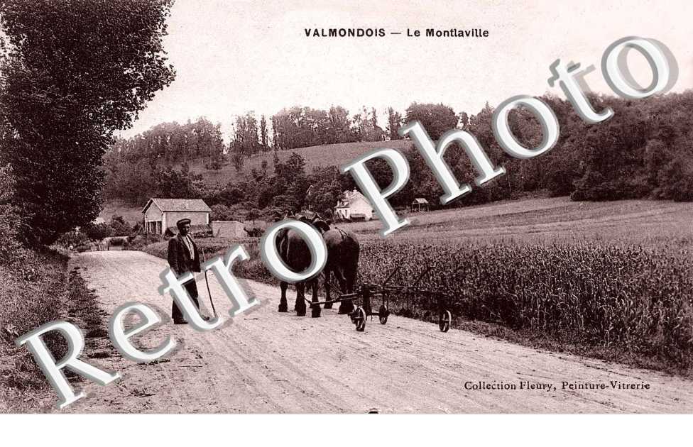 Le Montlaville - attelage de cheval