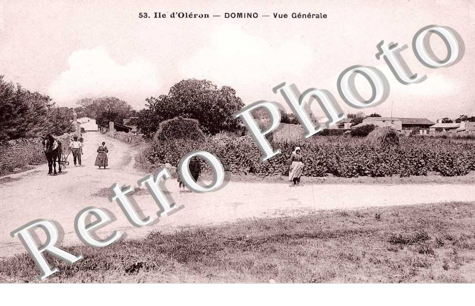 Vue generale