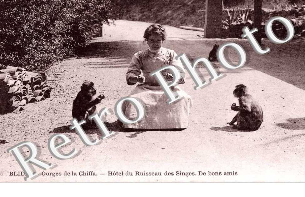Gorges de la Chiffa, hotel du ruisseau des singes