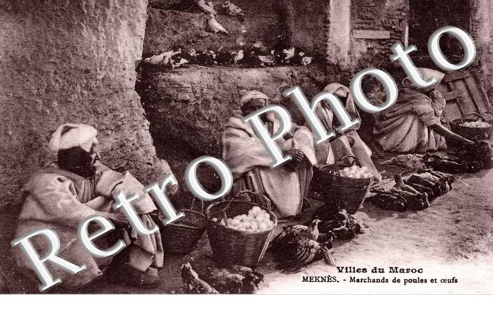 marchands de poules et oeufs
