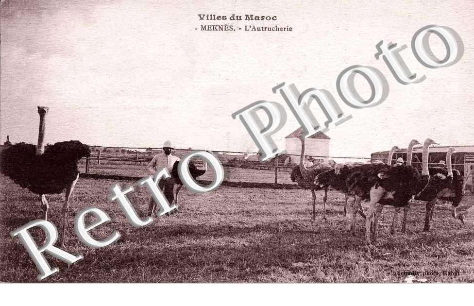 l'autrucherie