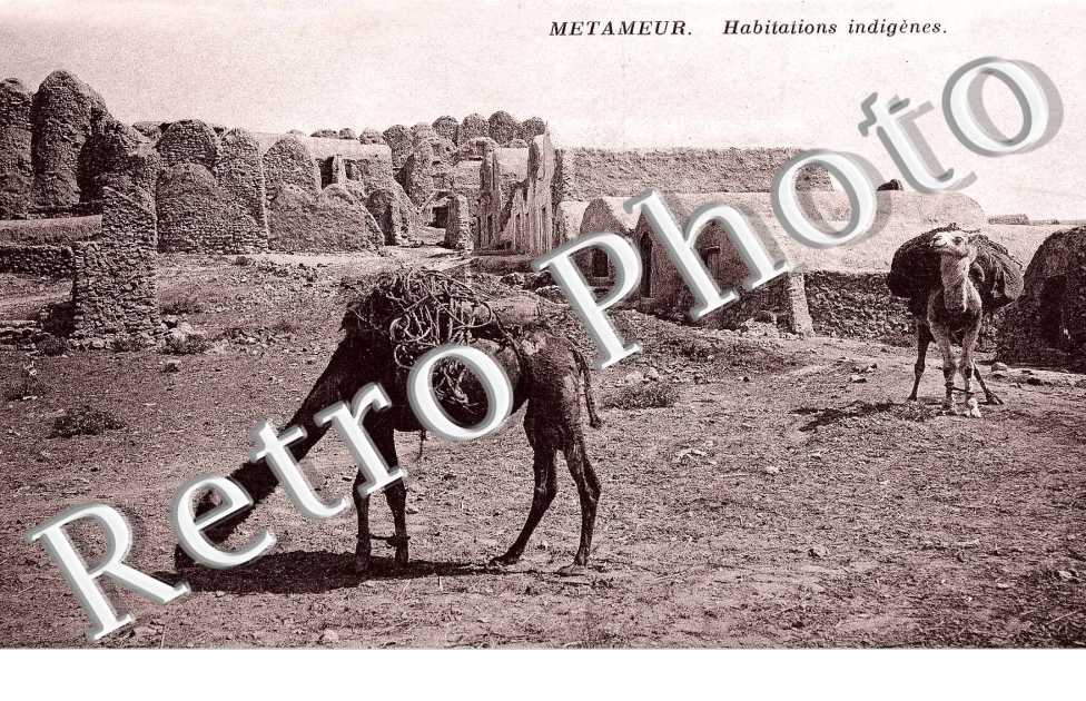 Habitations Indigenes