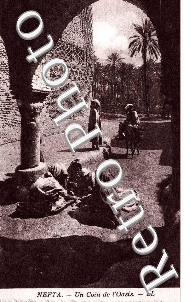 Un coin de l'Oasis