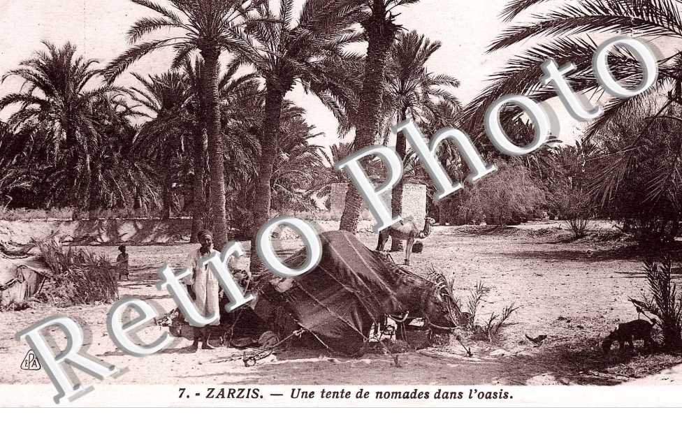 Une tente de nomades dans l'Oasis