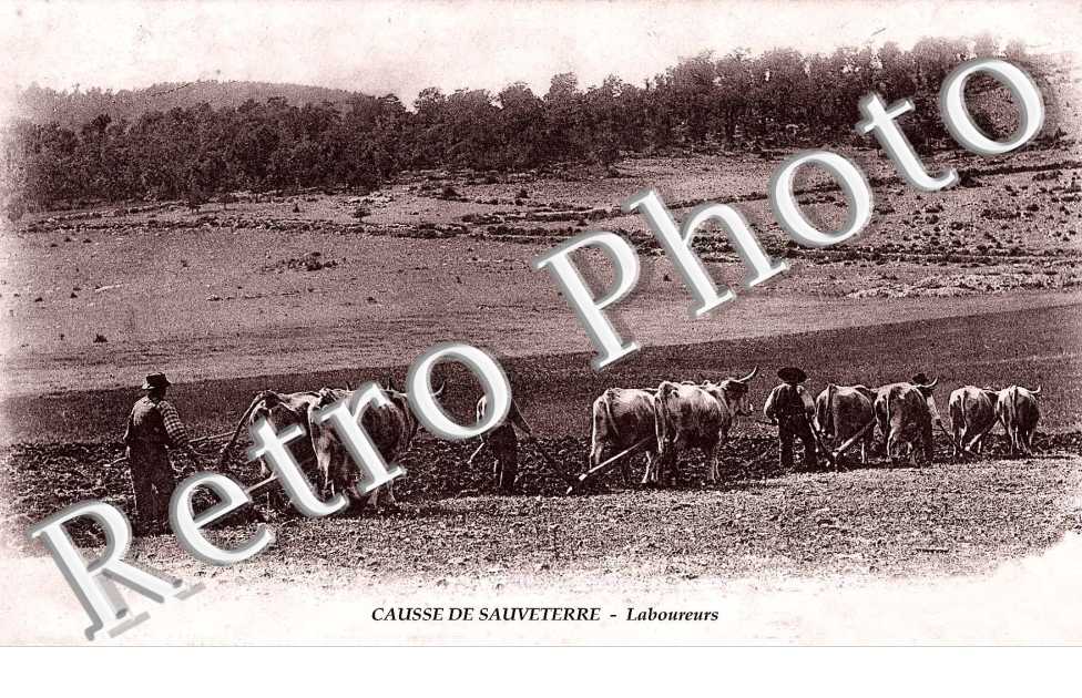 Causse de Sauveterre - laboureurs