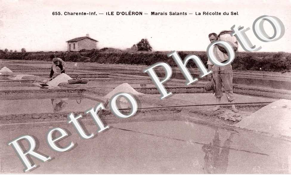 Marais salants La recolte du sel