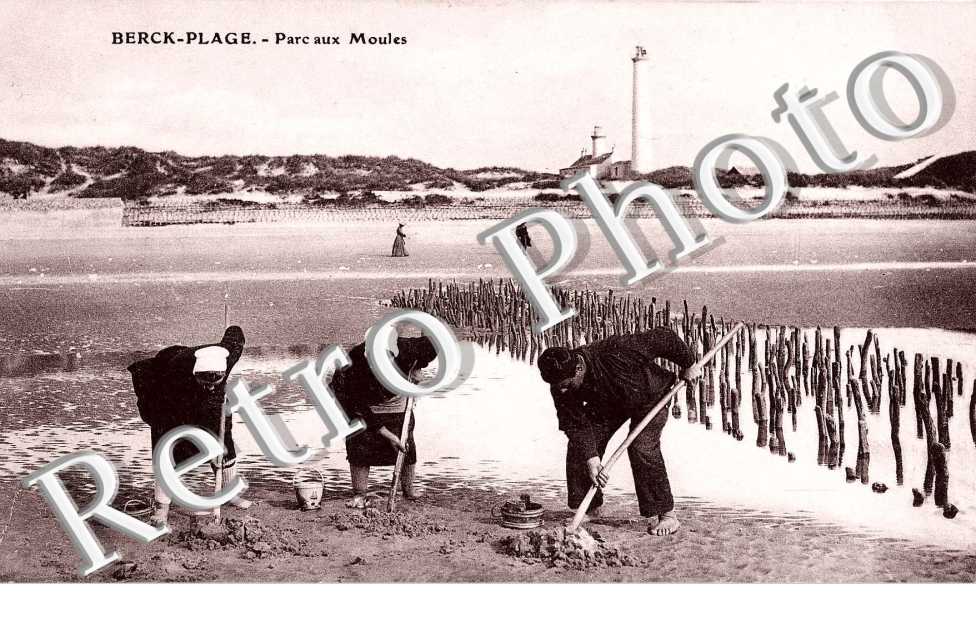 Parc aux Moules