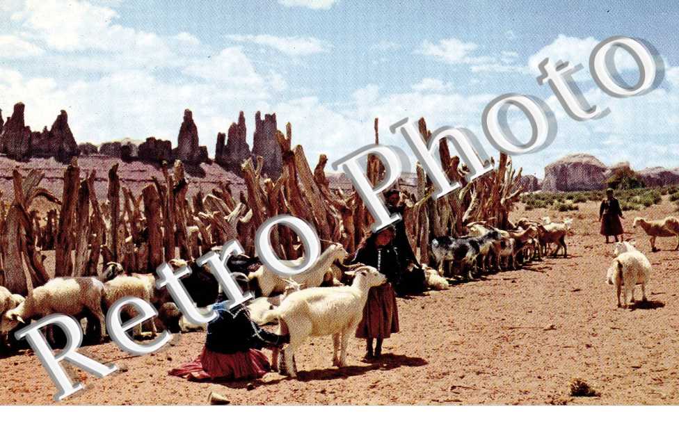 Indiens navajos - Sheep Herd