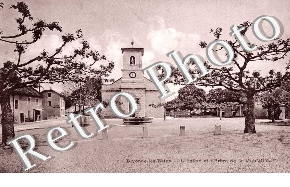 L'Eglise et l'Arbre de la Mutualité