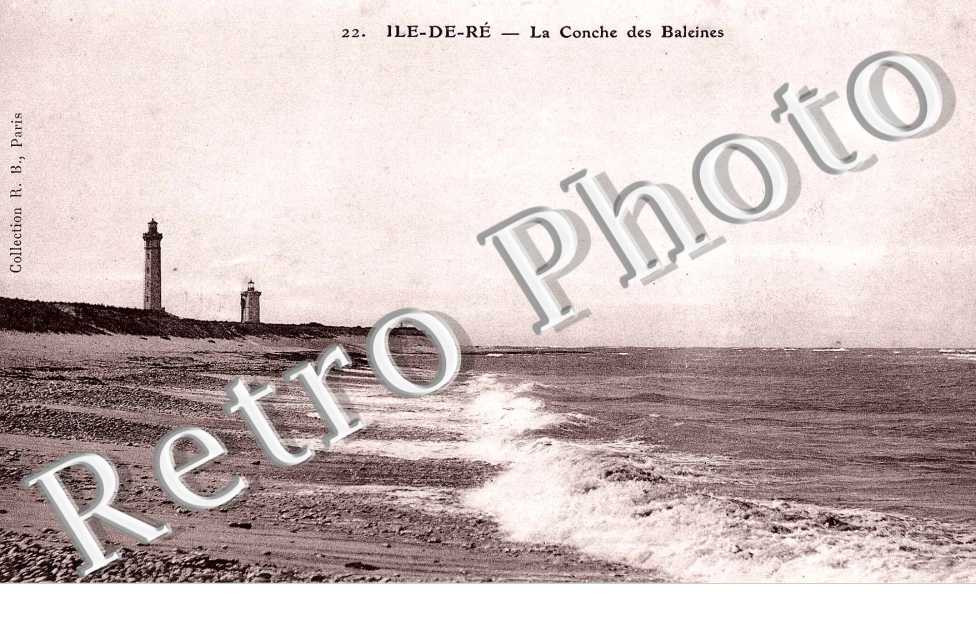 la conche de Baleines