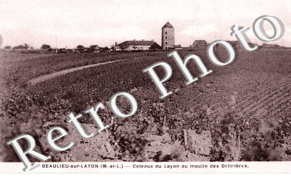 Coteaux du Layon au Moulin des Ortinieres