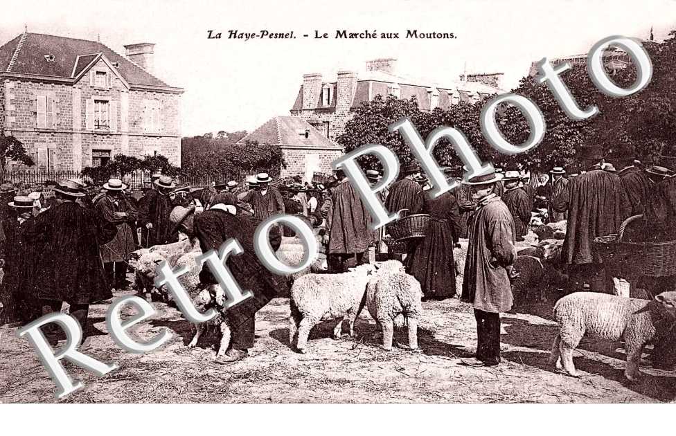 le marche aux moutons