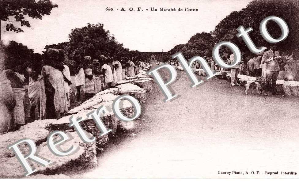 Un Marché de Coton