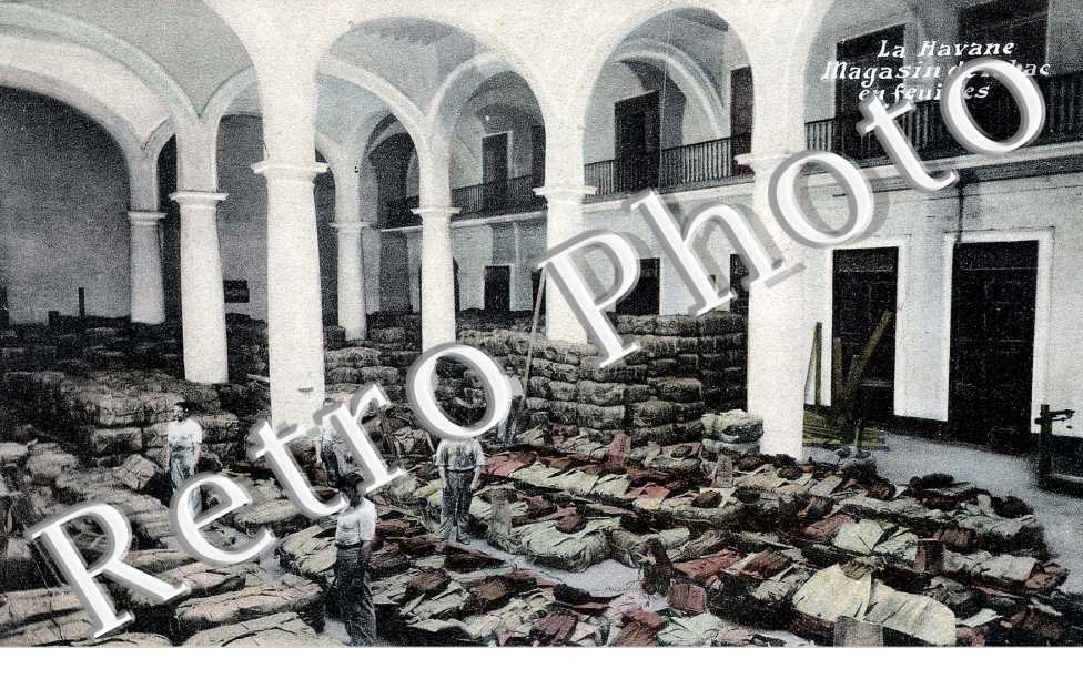 Magasin de Tabac en Feuilles