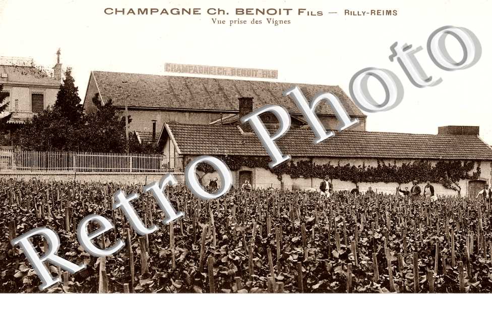 CHAMPAGNE Ch. Benoit