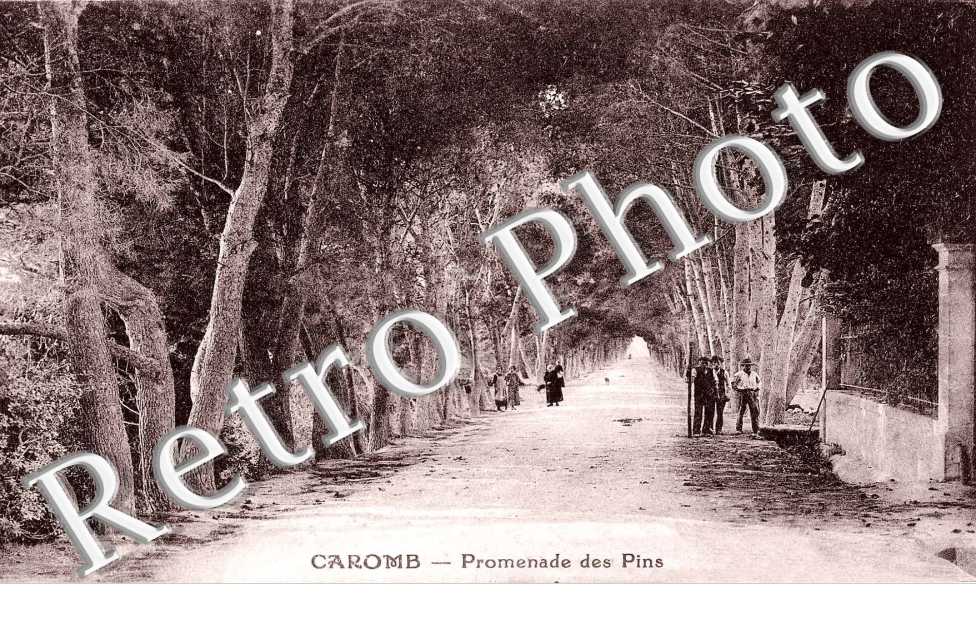 promenade des Pins