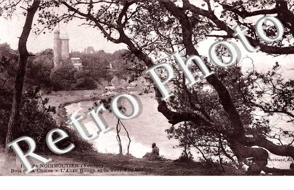 Bois de la Chaise L'anse rouge et la tour Plantier