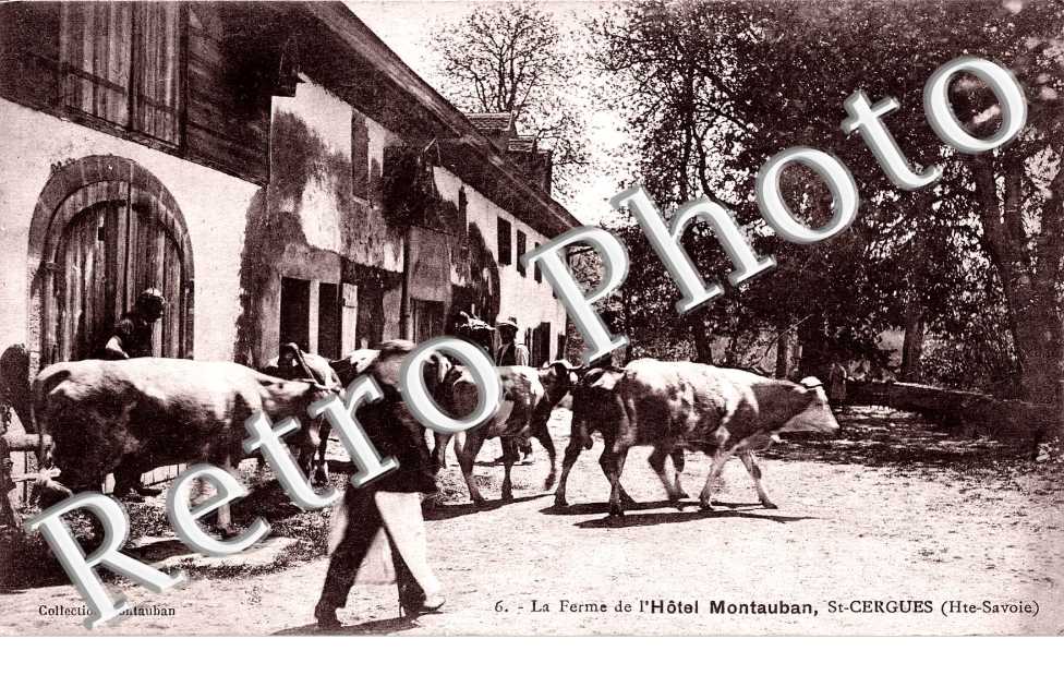 La ferme de l'hotel Montauban