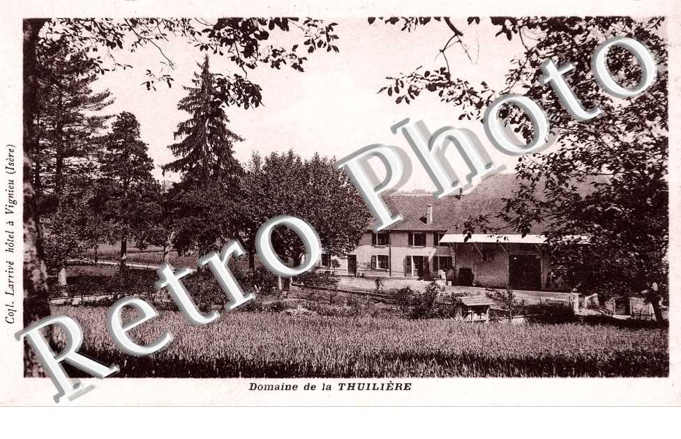 domaine de la Thuiliere