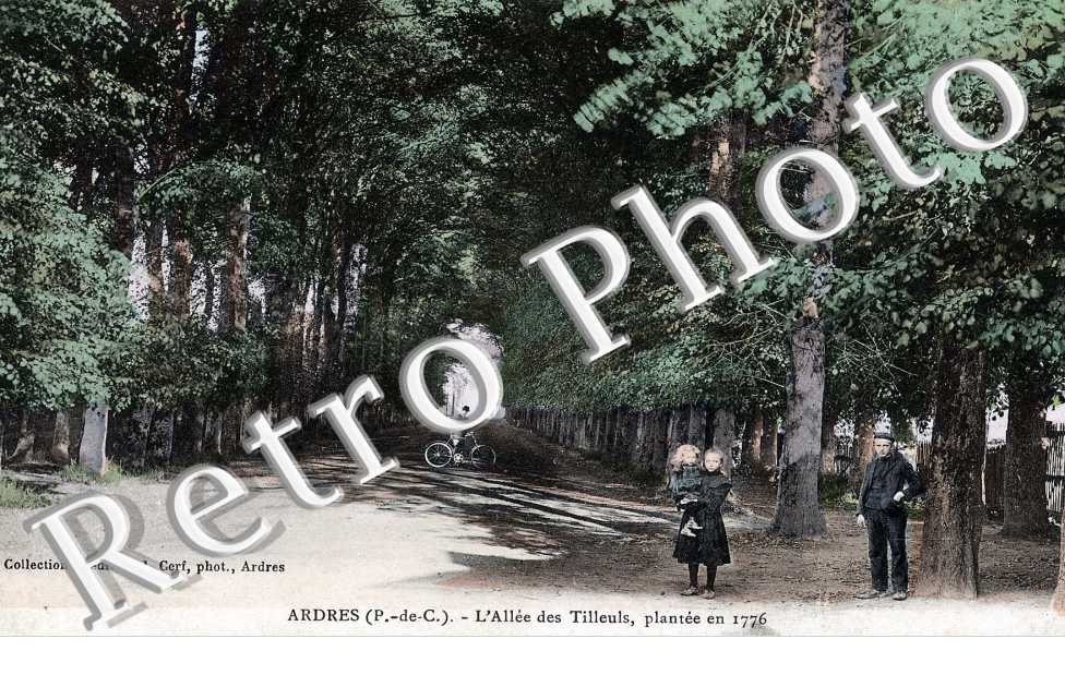 l' allee des tilleuls, plantee en 1776