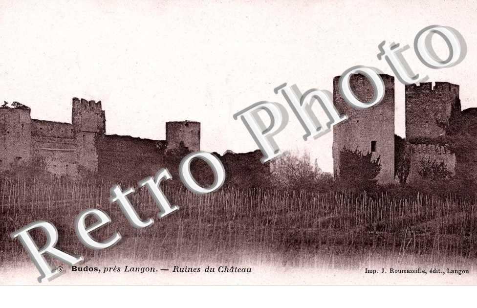 Ruines du chateau