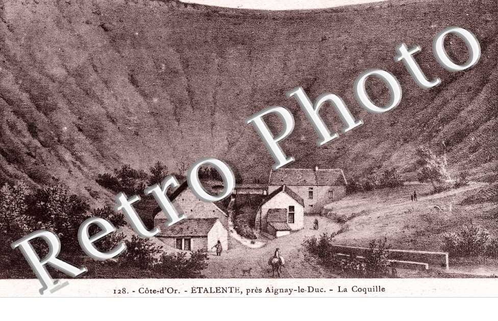 LA COQUILLE