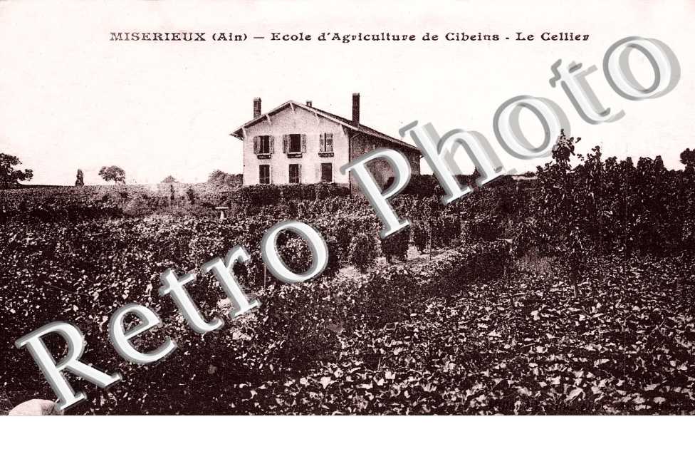  Ecole d'Agriculture de Cibeins, le Cellier