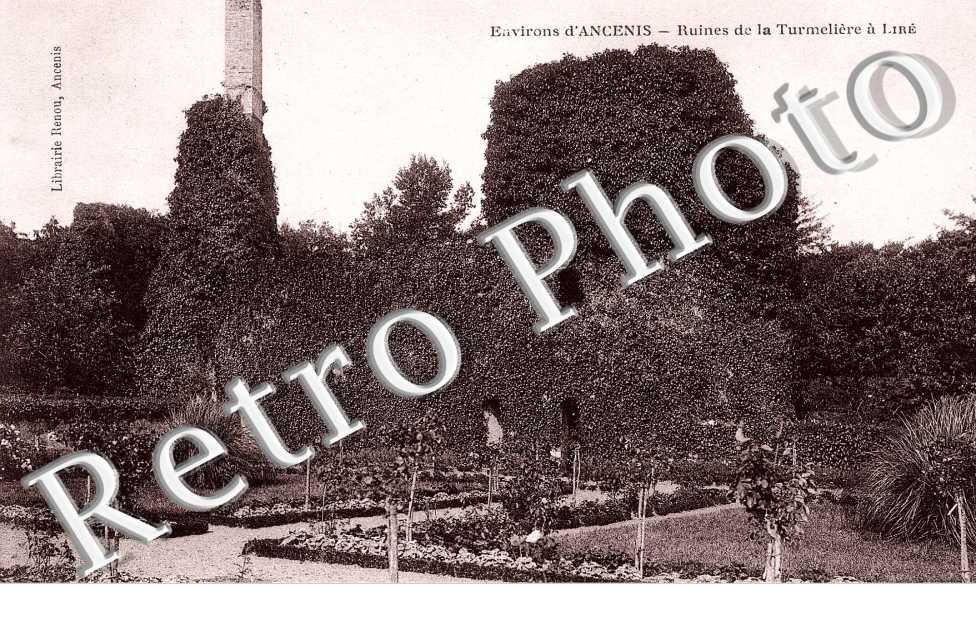 Ruines de la Turmeliere