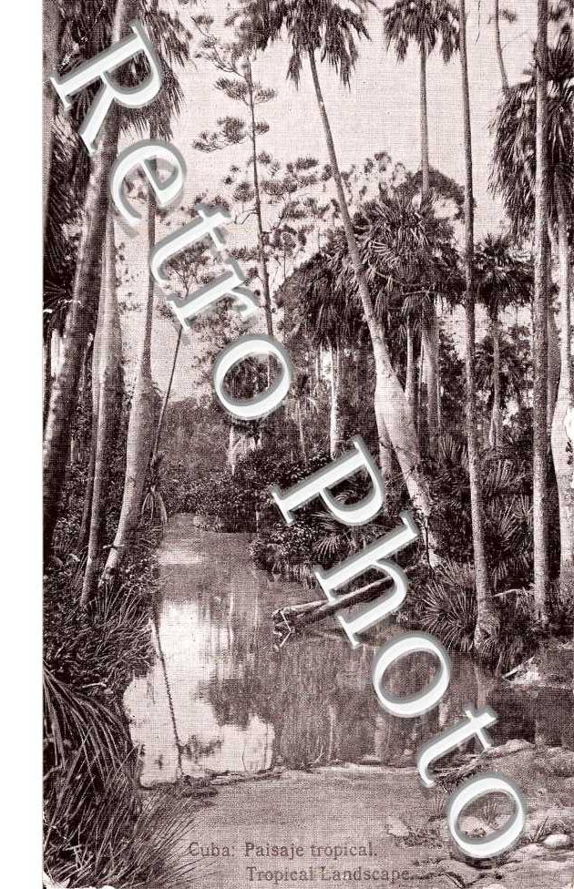 Paisaje tropical