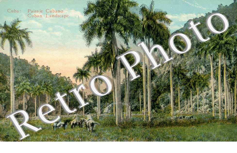 Paisaje Cubano