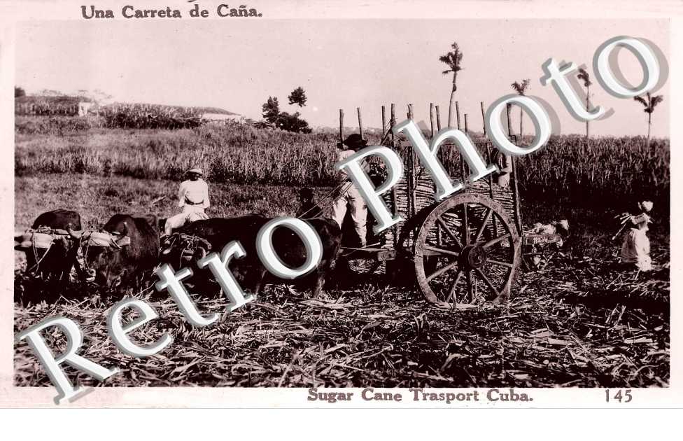 Una Carreta de Cana
