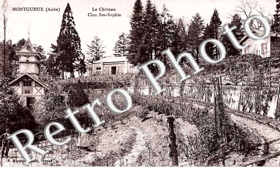 Le chateau Clos Sainte Sophie