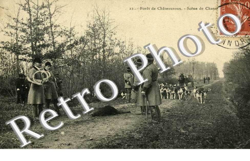 Foret de Chateauroux - scene de Chasse
