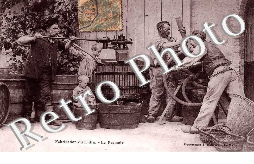 Fabrication du cidre le pressoir