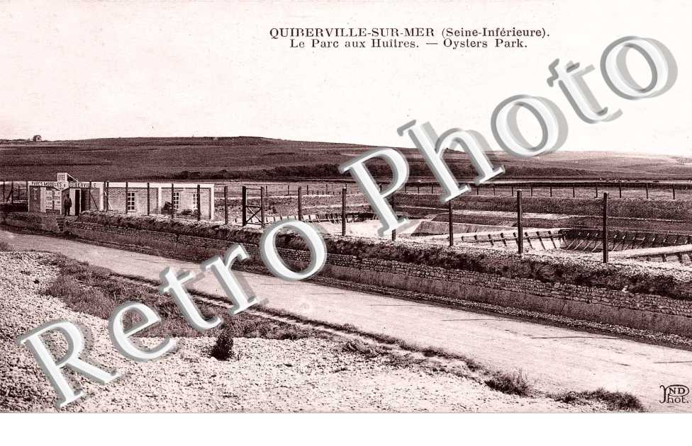 Le Parc aux Huitres - Oysters Park