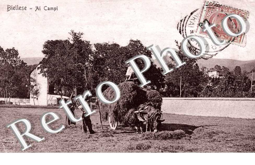 ai campi