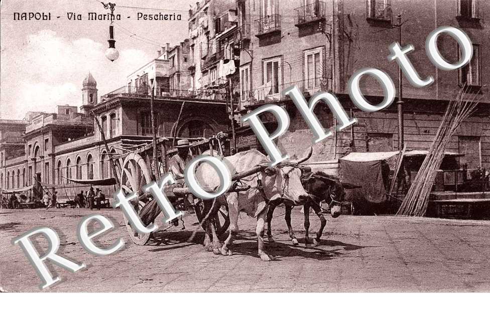 Via Marina  -  Pescheria
