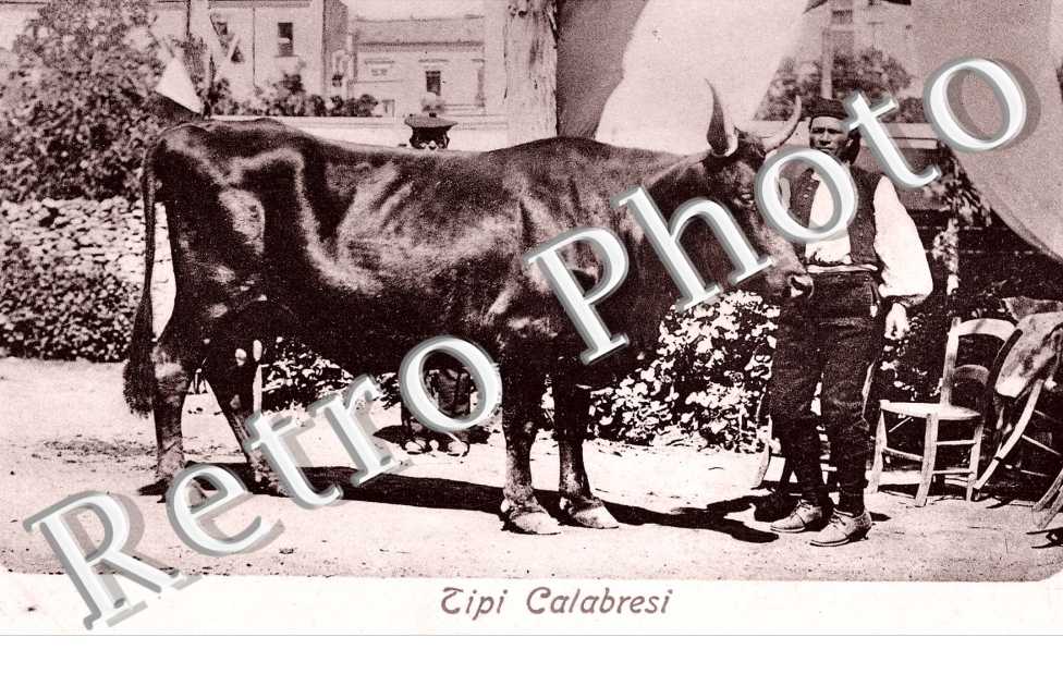 Tipi Calabresi