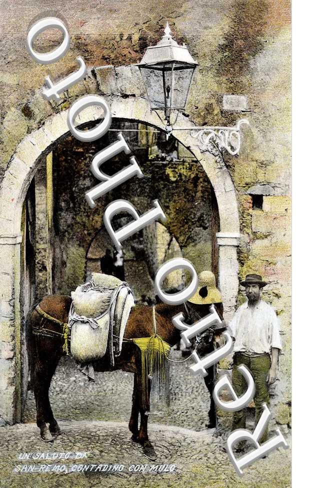 Contadino con mulo