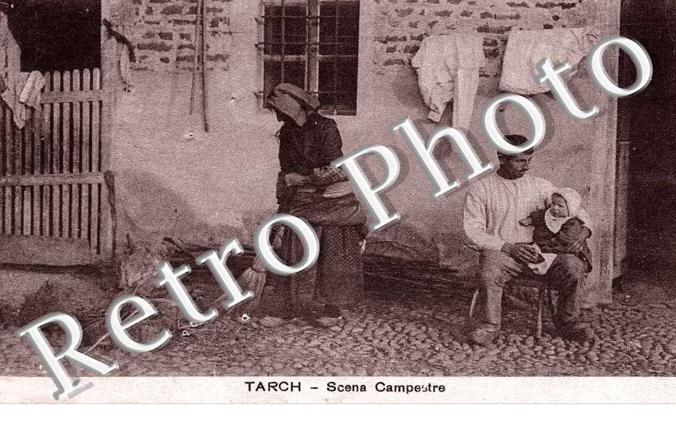 Scena Campestra