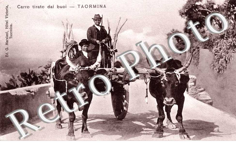 Carro tirato dai buoi