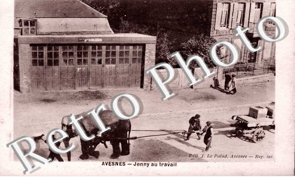 Avesnes Jenny au travail